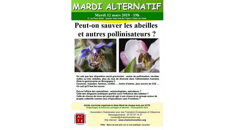 Lire la suite à propos de l’article Peut-on sauver les abeilles et autres pollinisateurs ?