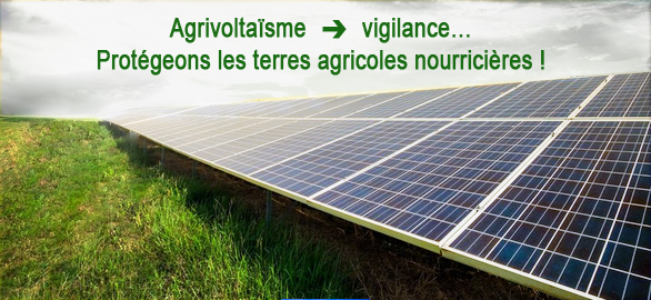 Lire la suite à propos de l’article Oui aux panneaux photovoltaïques… mais STOP à l’artificialisation des sols !